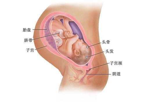 深圳代孕价格-深圳代孕套餐-代孕的早期症状是什么