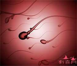 广州做助孕的价格，广州三大助孕公司，最好的是哪家？